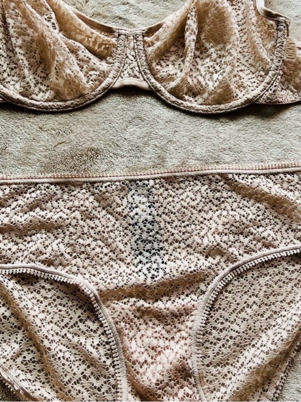 DKNY Nude Lace Bikini Panty